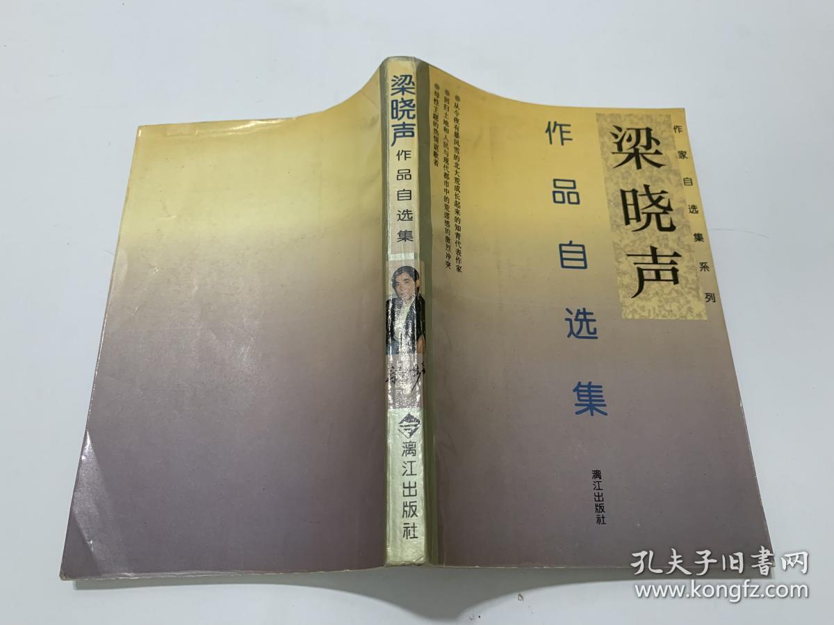 梁晓声作品自选集