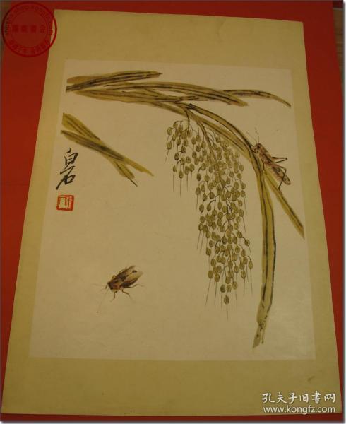 1956年12月国画大师齐白石工笔贝叶草虫珍品木版水印