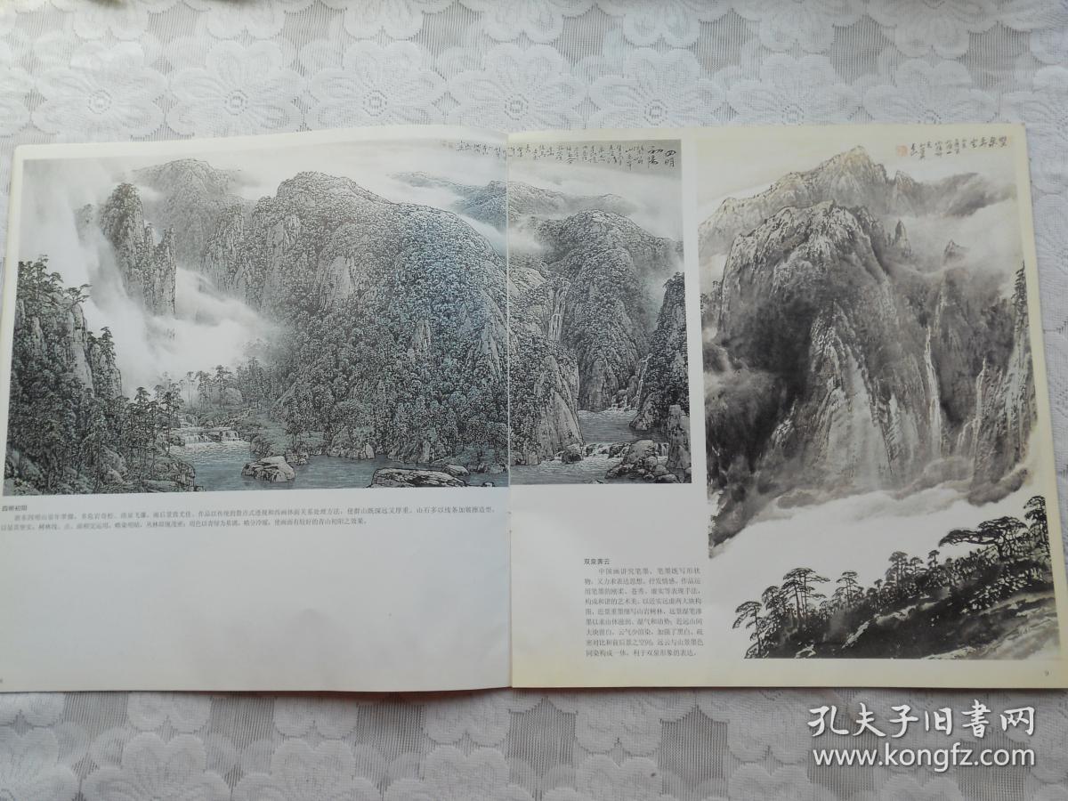 古典山水画鉴赏大系.王利华