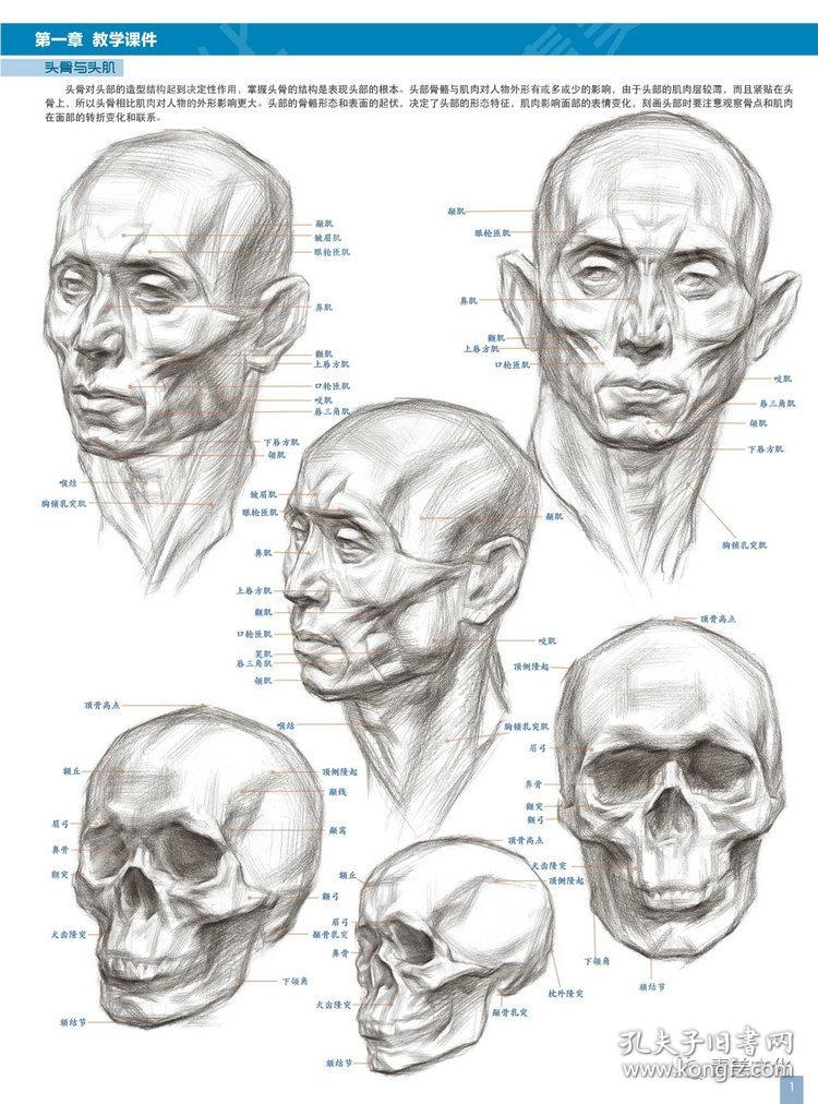 坚实素描头像2019青美文化刘同飞头像五官基础素描肖像半身像临摹范本