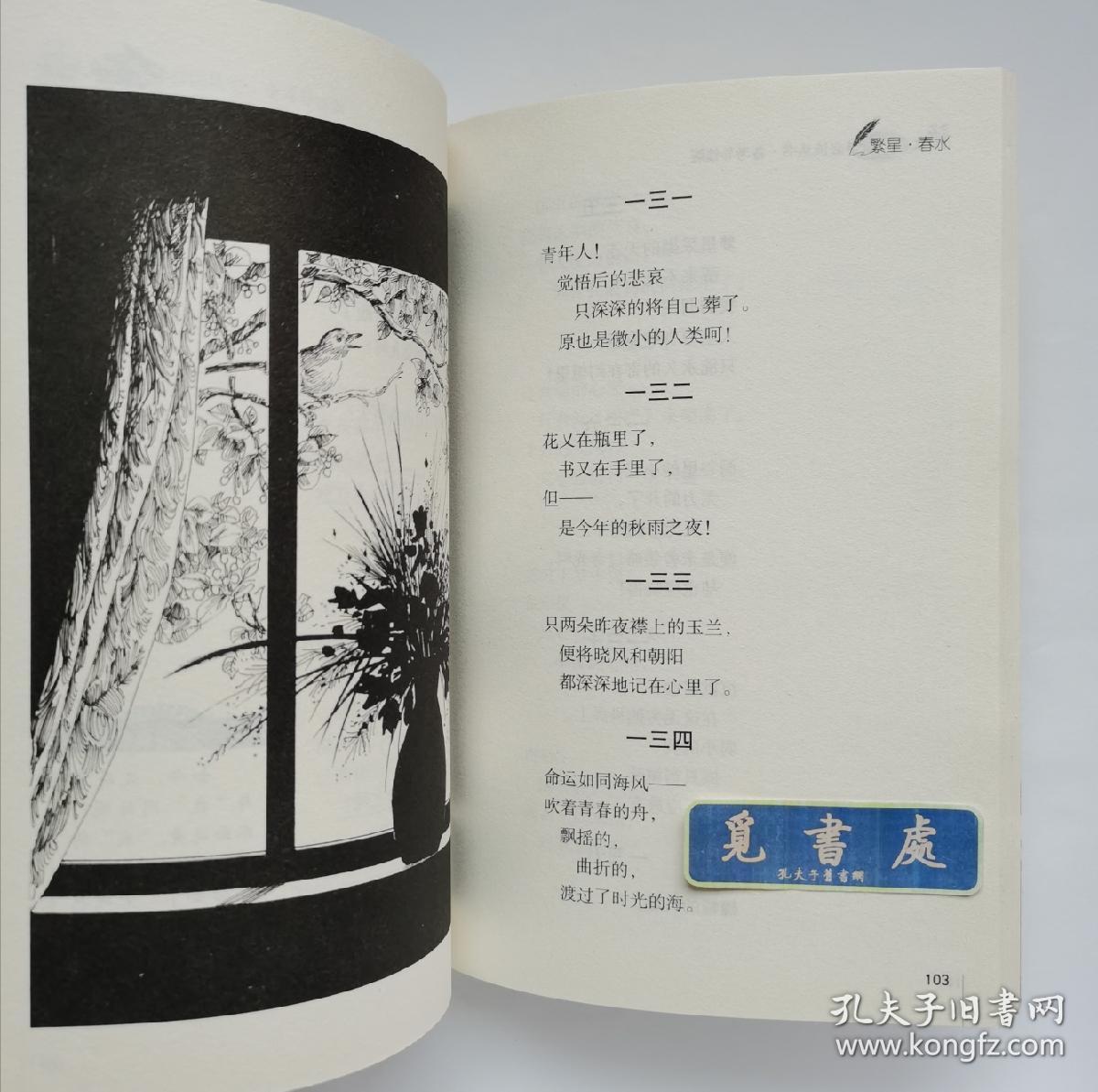 繁星·春水 插图本 冰心经典诗集 名师点评 无障碍阅读版 实图 现货