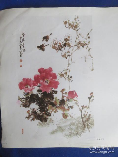 李多木写意牡丹