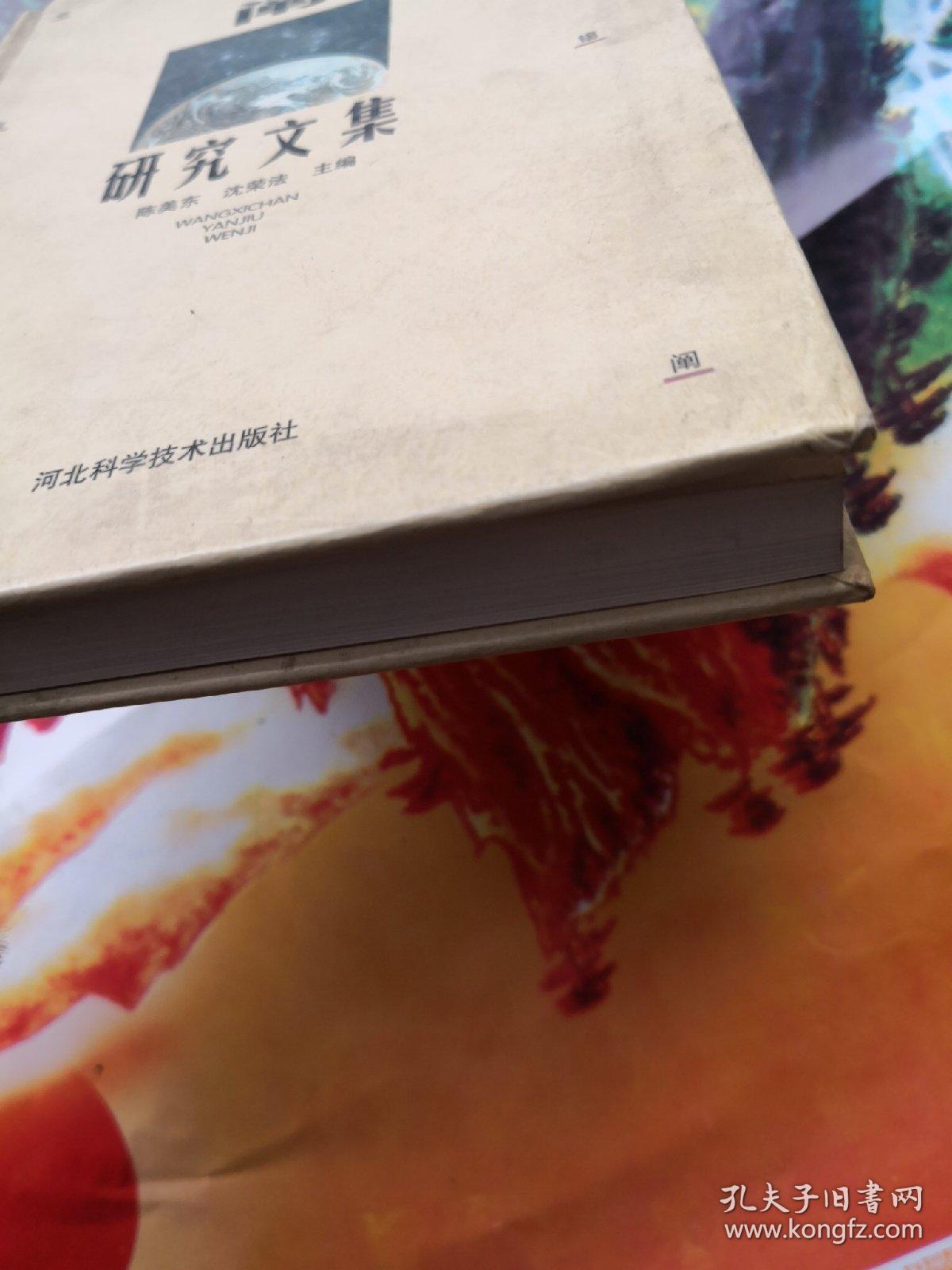 王锡阐研究文集_陈美东,沈荣法 主编_孔夫子旧书网