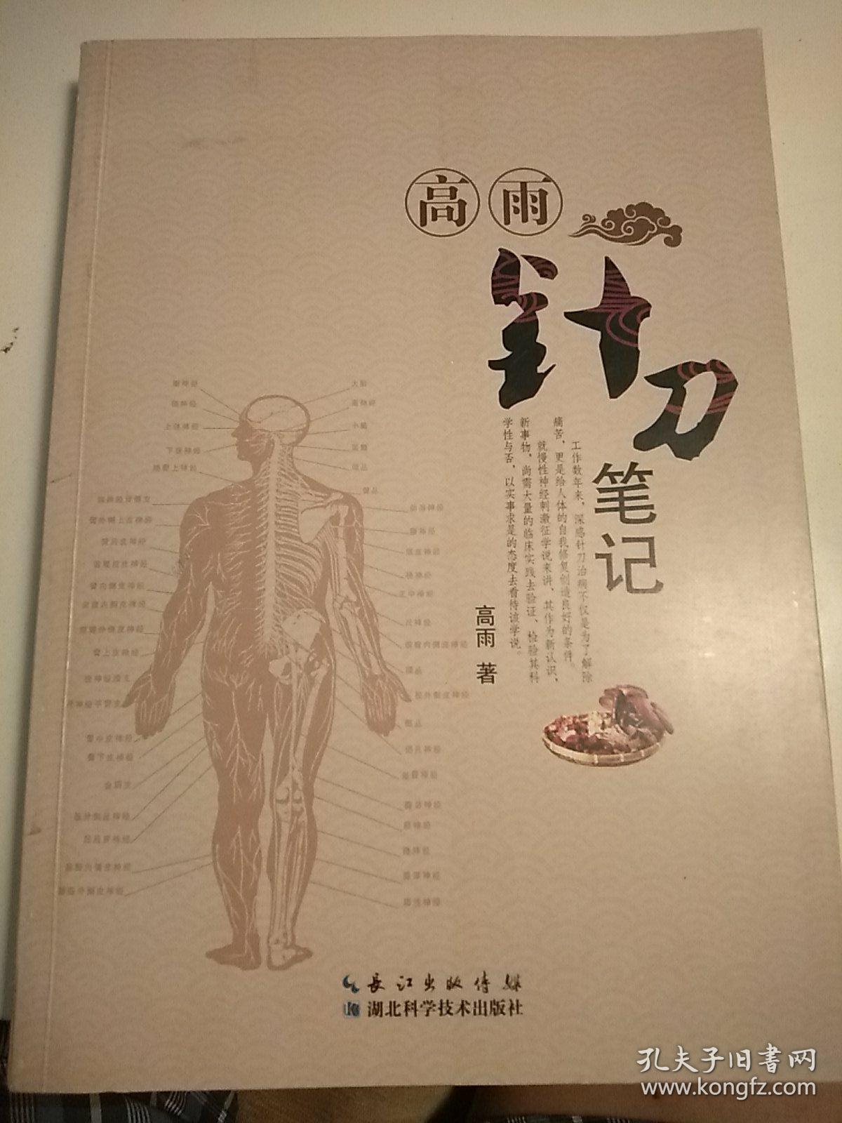 【正版】高雨针刀笔记(库存书)