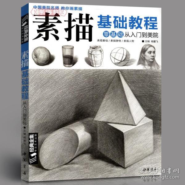 素描静物 素描人物 杨建飞 成人学生基础教程绘画美术书籍临摹范本