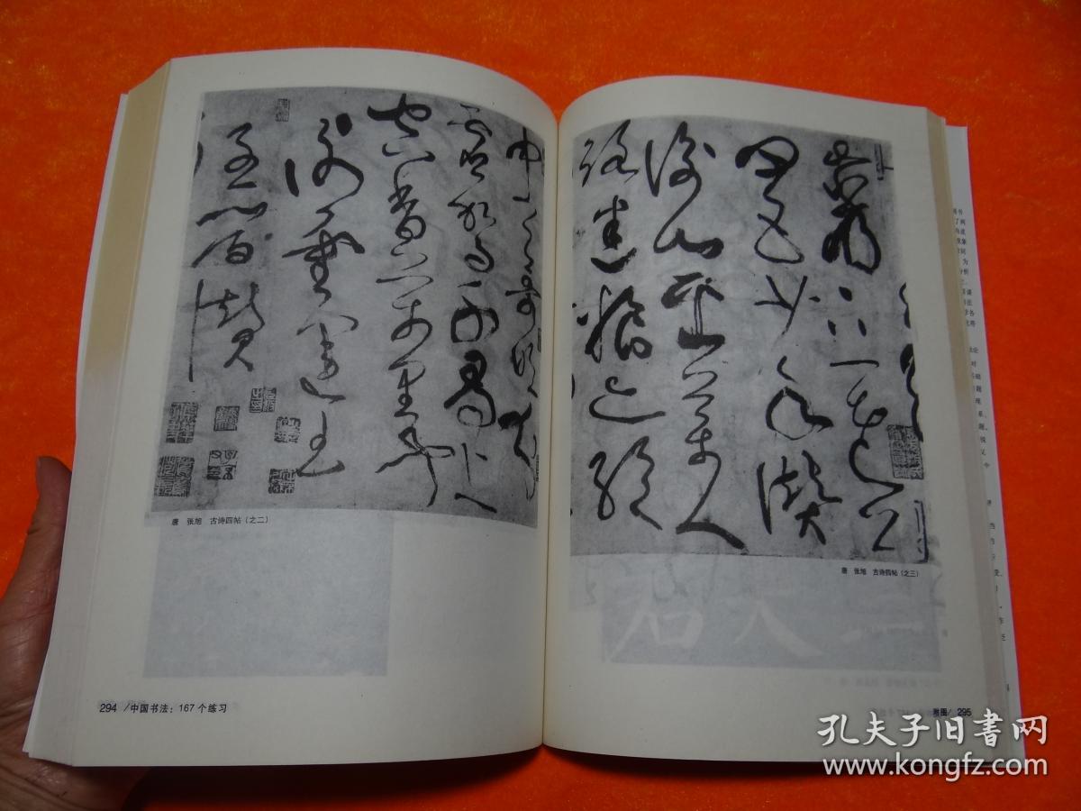 中国书法167个练习 书法技法的分析与训练_邱振中 著_孔夫子旧书网