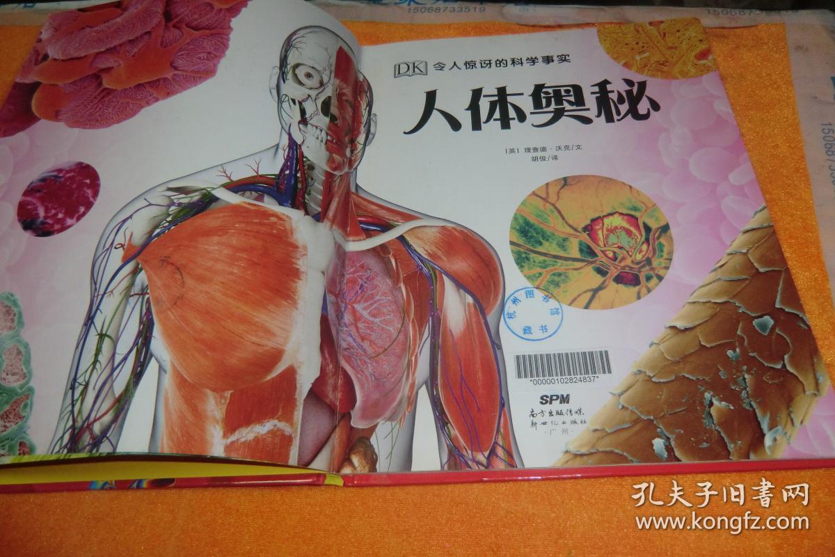 人体奥秘 [英]理查德·沃克 著;胡俊 译 / 新世纪出版