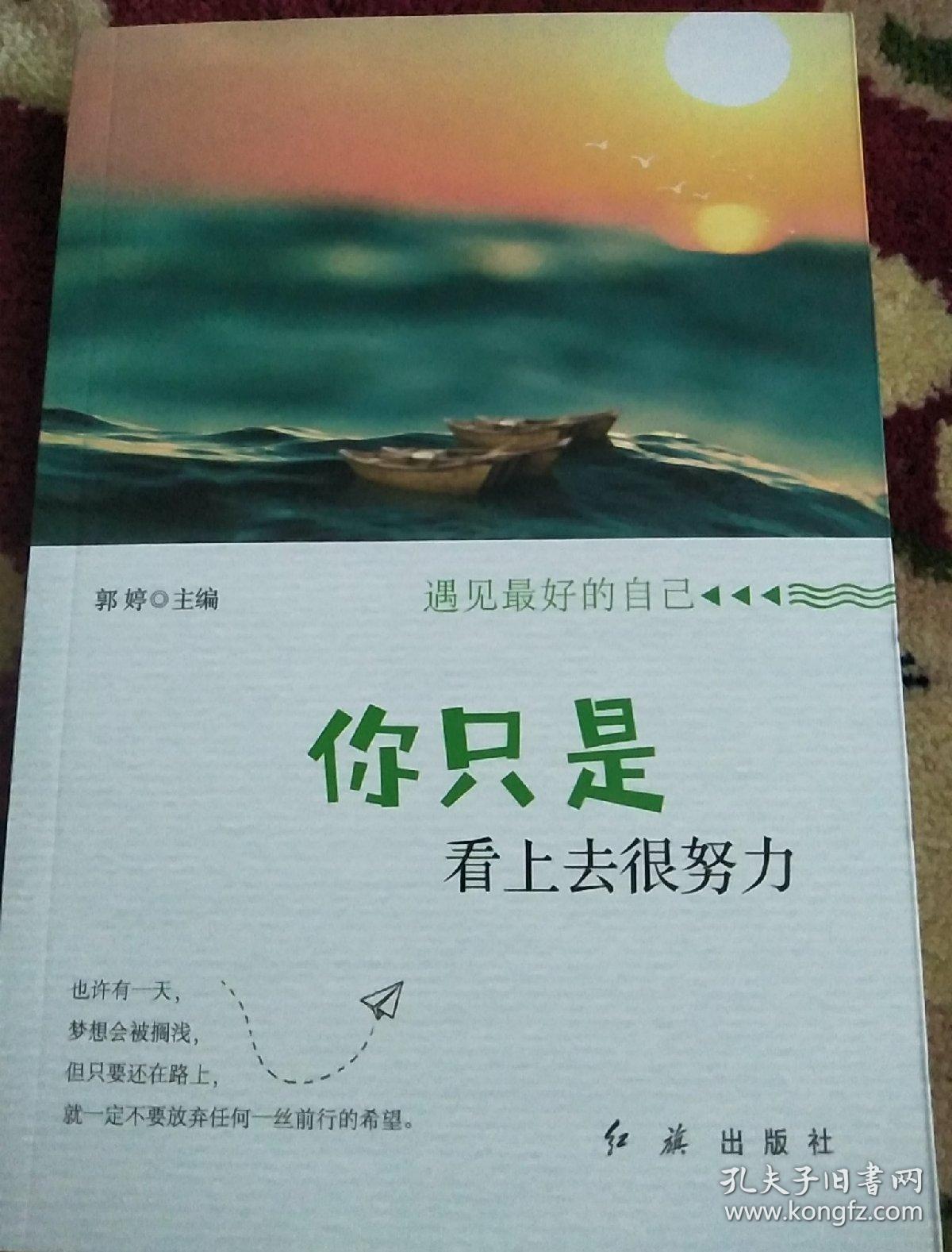 遇见最好的自己 全4册 塑封