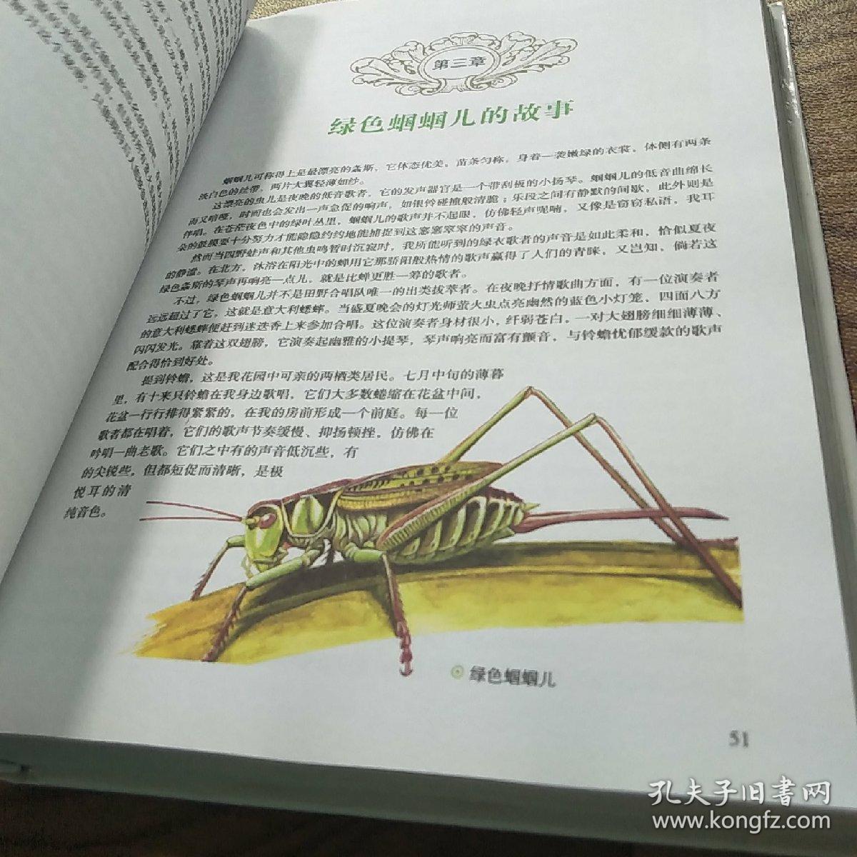 法布尔昆虫记