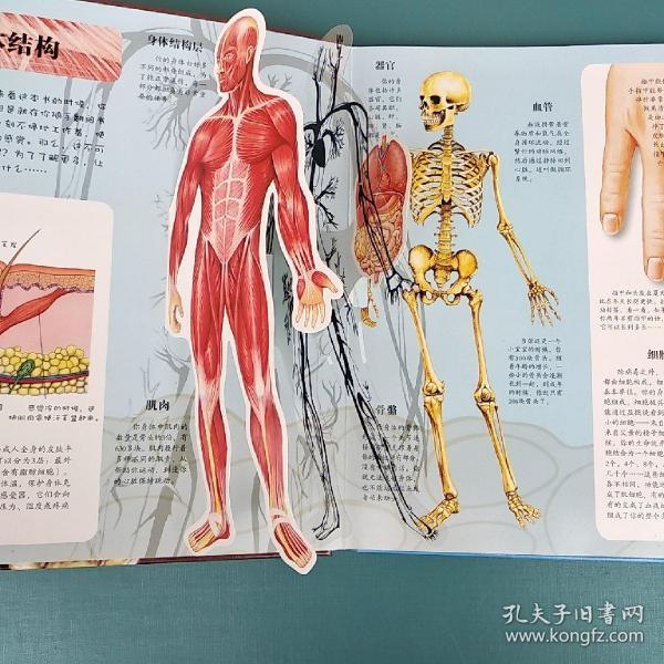 趣味科普立体书:人体