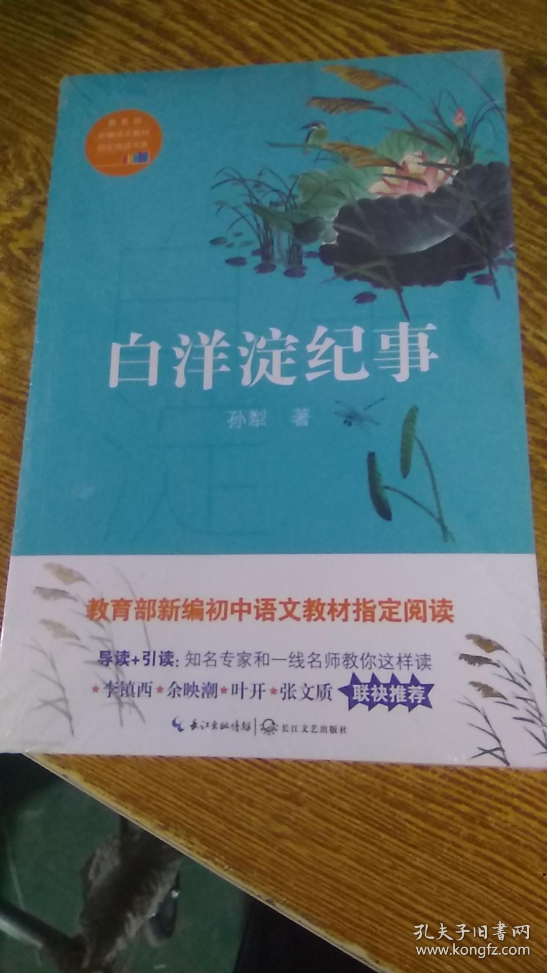 白洋淀纪事