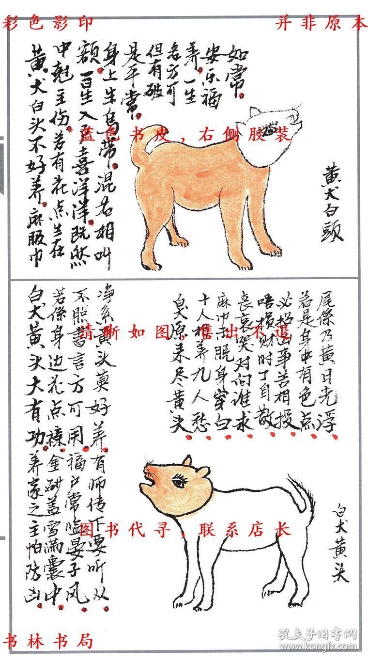 识狗,买狗必须参考的相狗秘本,详细介绍参见网文"古籍《相犬大全》