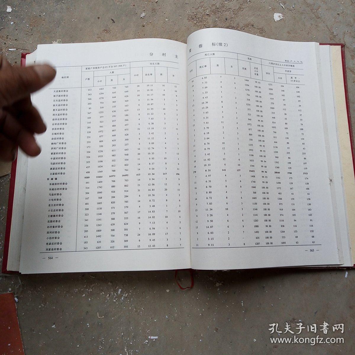 2000年人口普查资料_2020年人口普查图片(2)