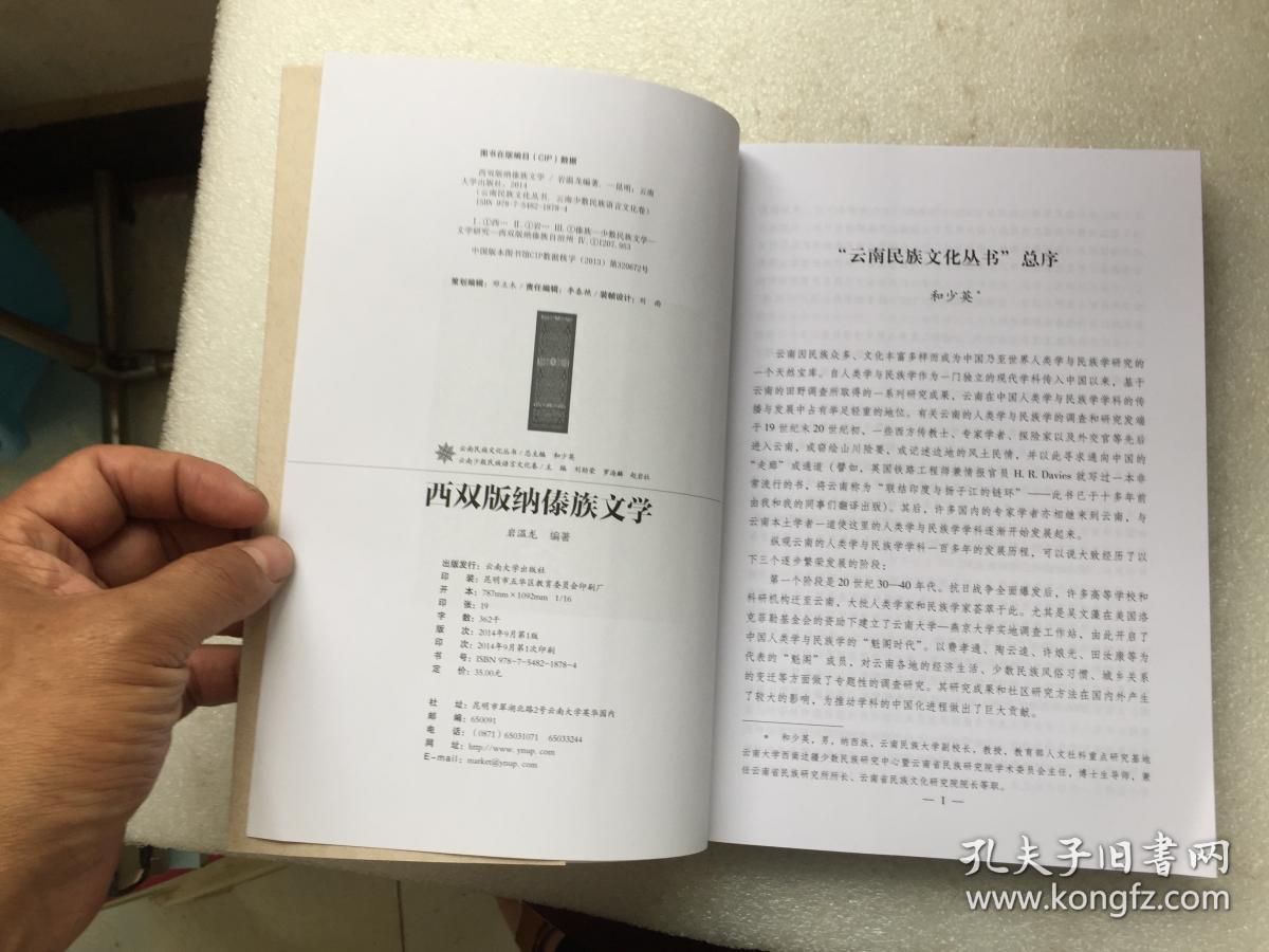 云南民族文化丛书·云南少数民族语言文化卷:西双版纳傣族文学