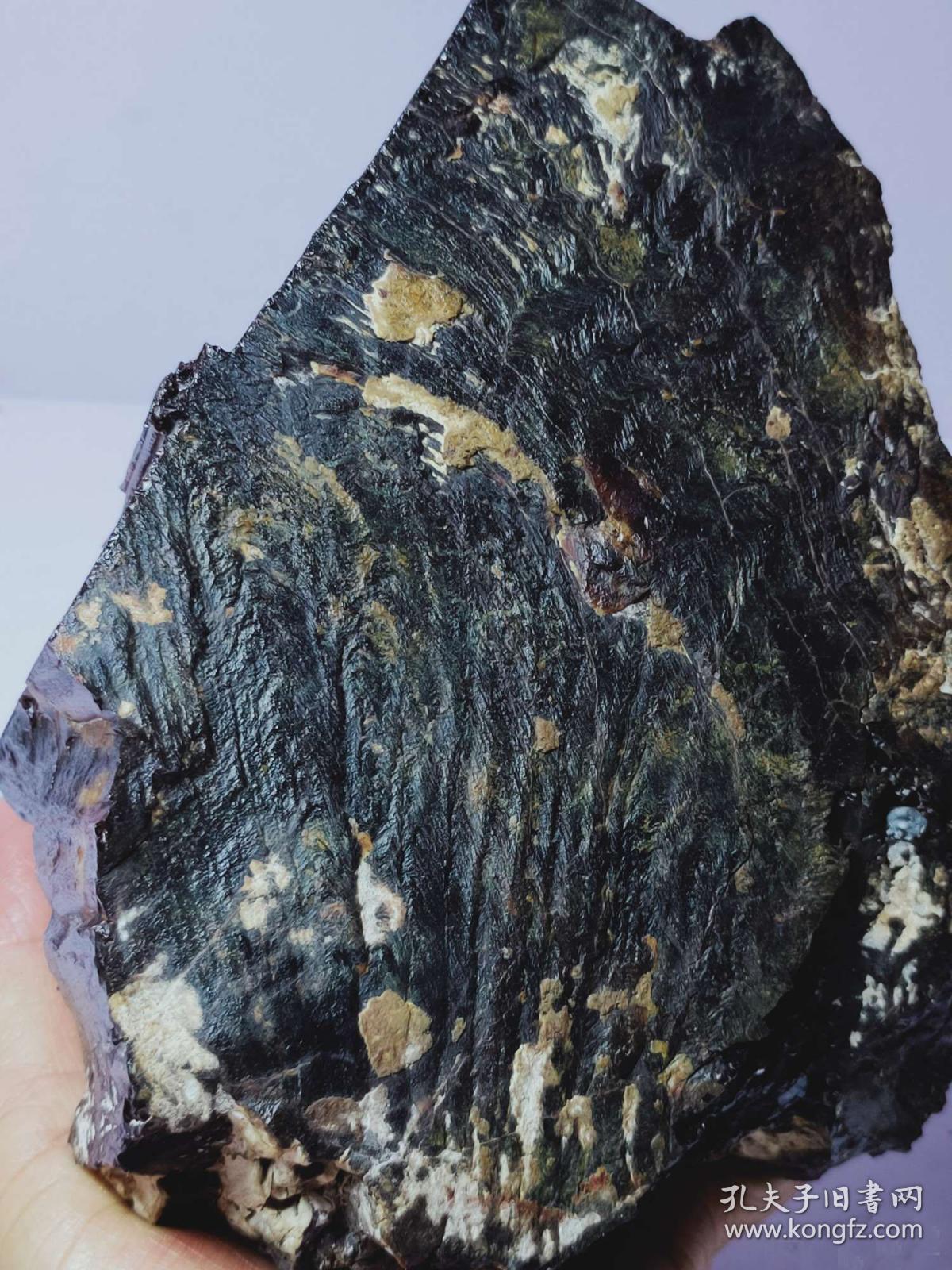 顶级极品纯天然极为罕见和难得的木化石"精品黑色风味木化石","玉化极