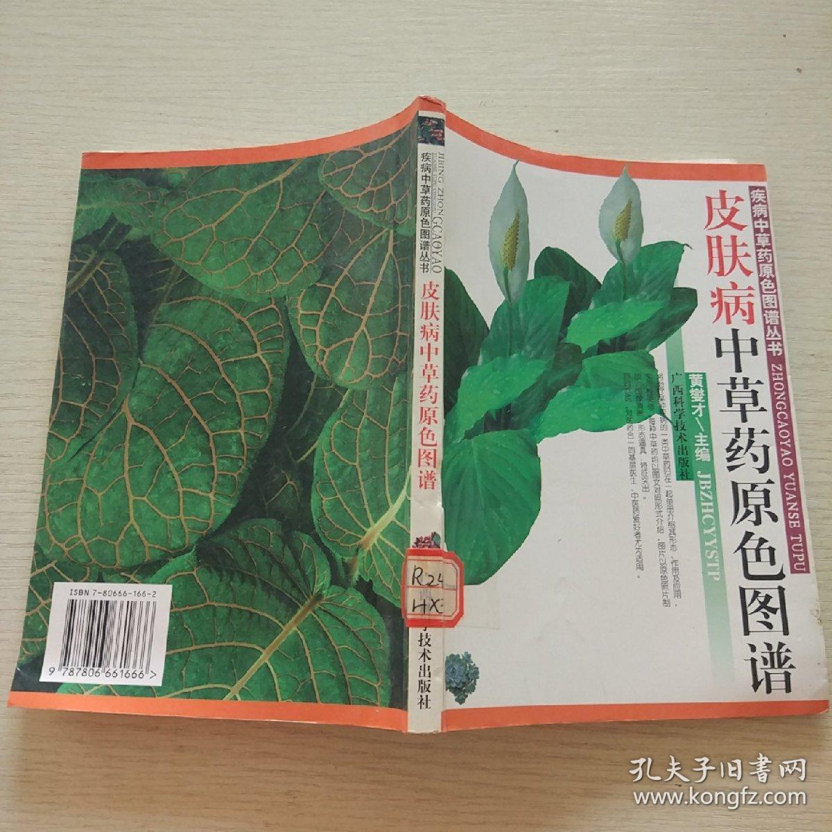 皮肤病中草药原色图谱/疾病中草药原色图谱丛书