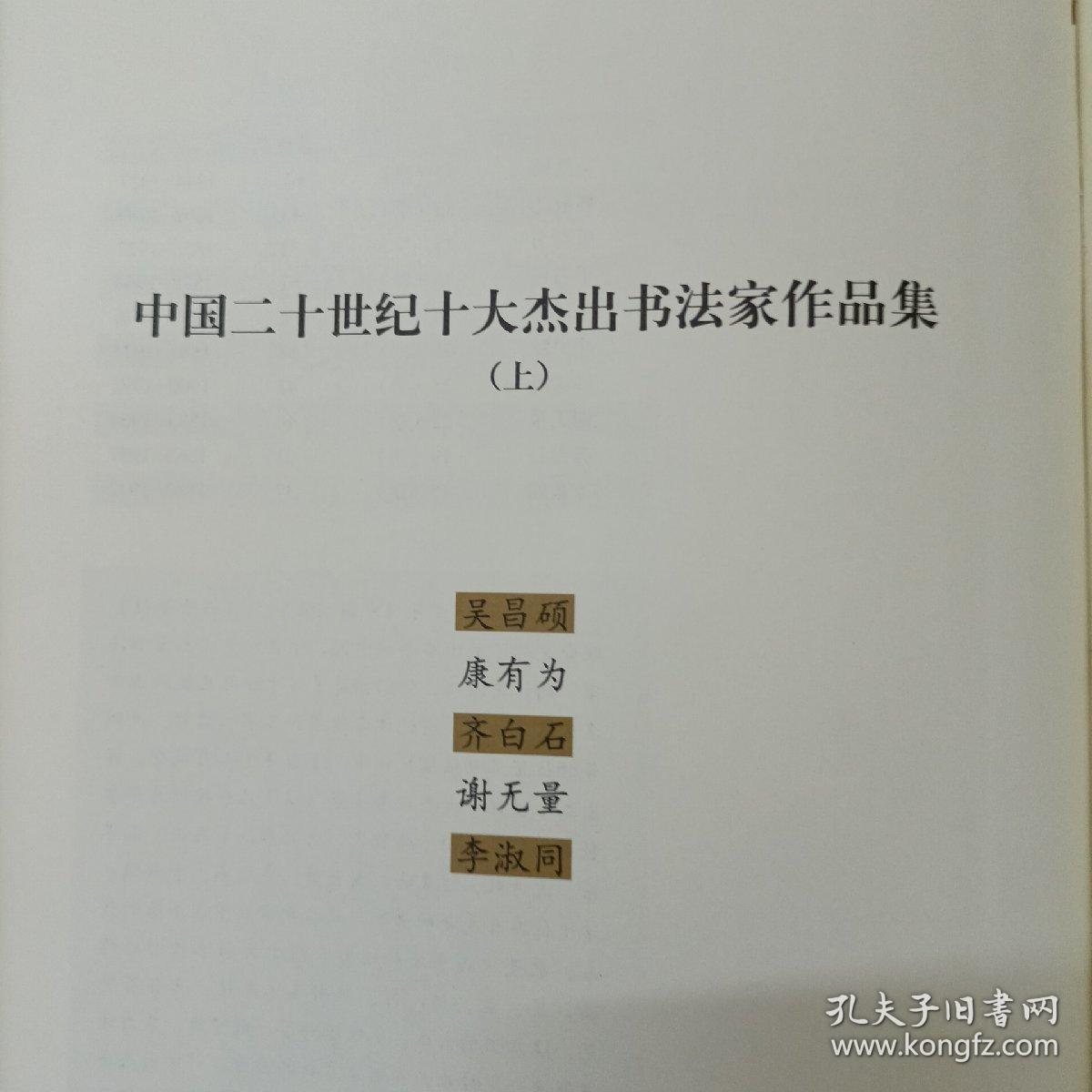 旧书中国二十世纪十大杰出书法家作品汇集上册田其湜编湖南人民出版社
