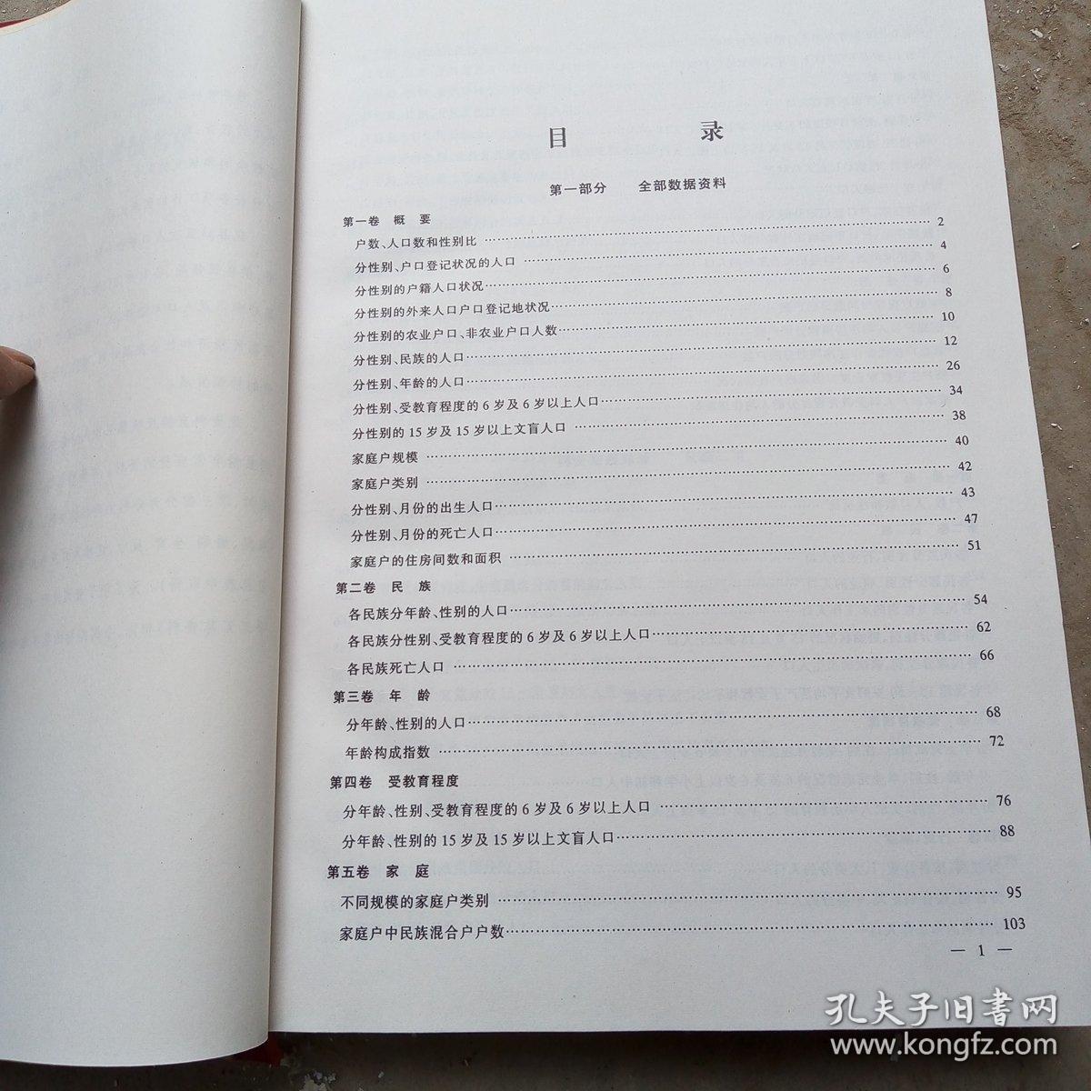 2000年人口普查资料_2020年人口普查图片(2)