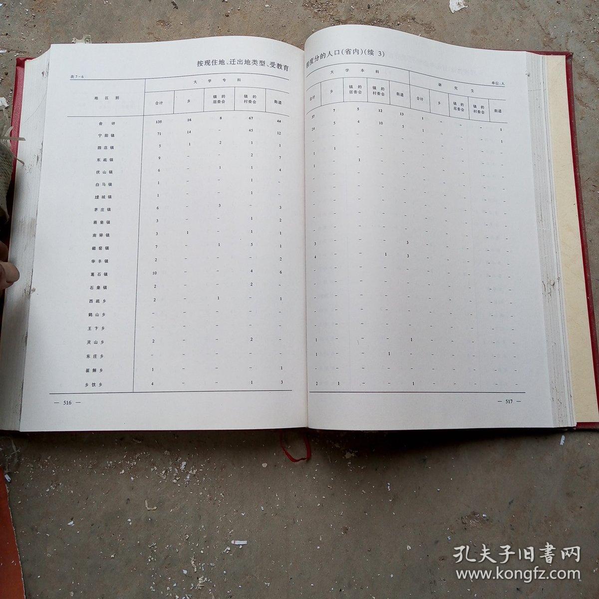 2000年人口普查资料_2020年人口普查图片(2)