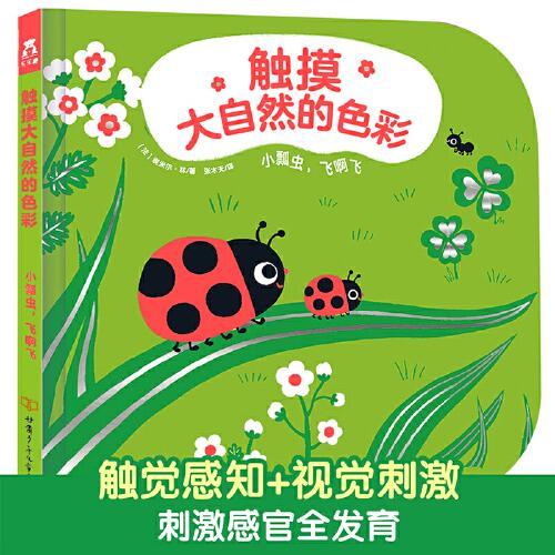 小瓢虫飞简谱_小二班第十一周知识反馈