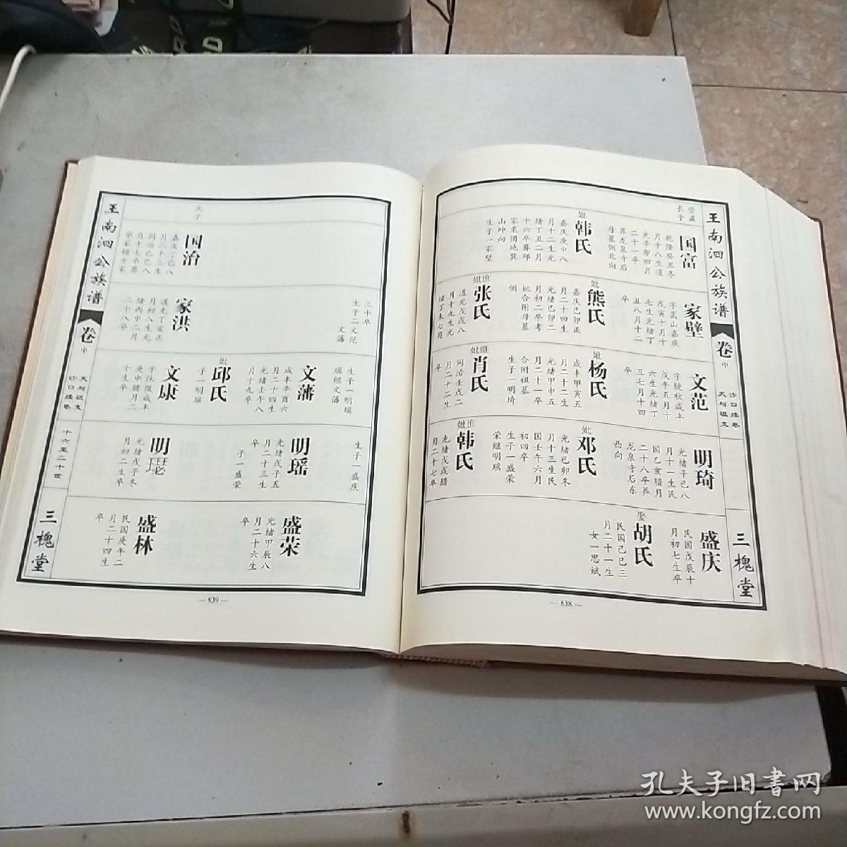 王氏族谱(王南泗公族谱卷)沙口续卷(大16开精装本)977