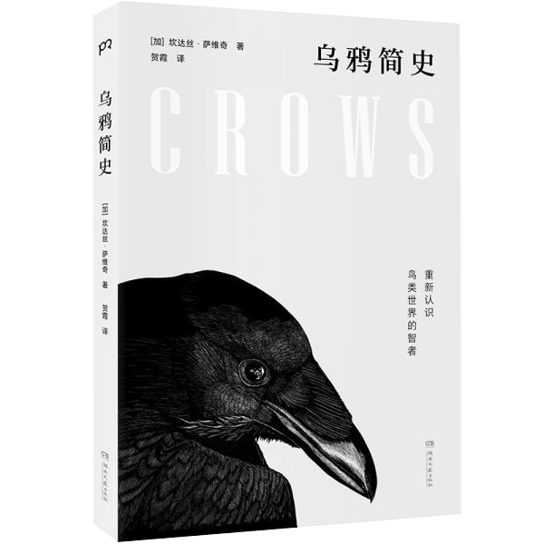 云南人口中的乌鸦_古惑仔乌鸦图片(2)