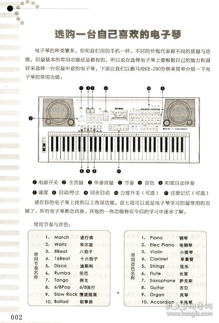 正版12小时学会电子琴 电子琴教程启蒙儿童初学琴谱教程成人初学入门