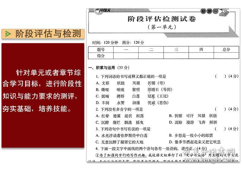 乐东九所2020人口数量_三亚乐东九所新区(2)