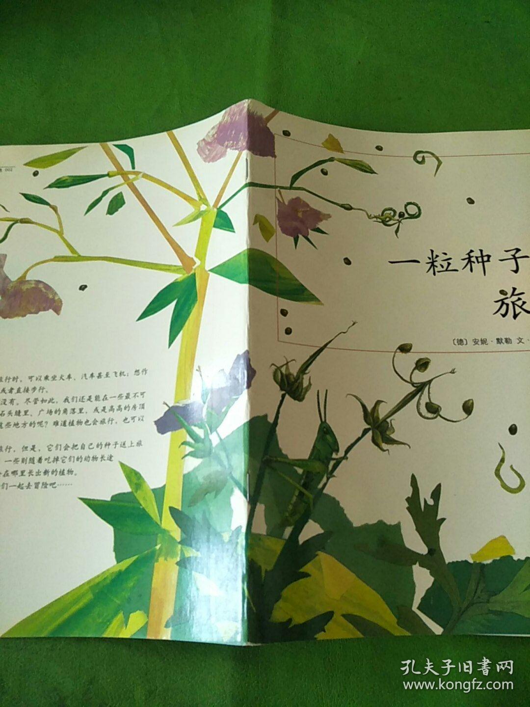 一粒种子的旅行