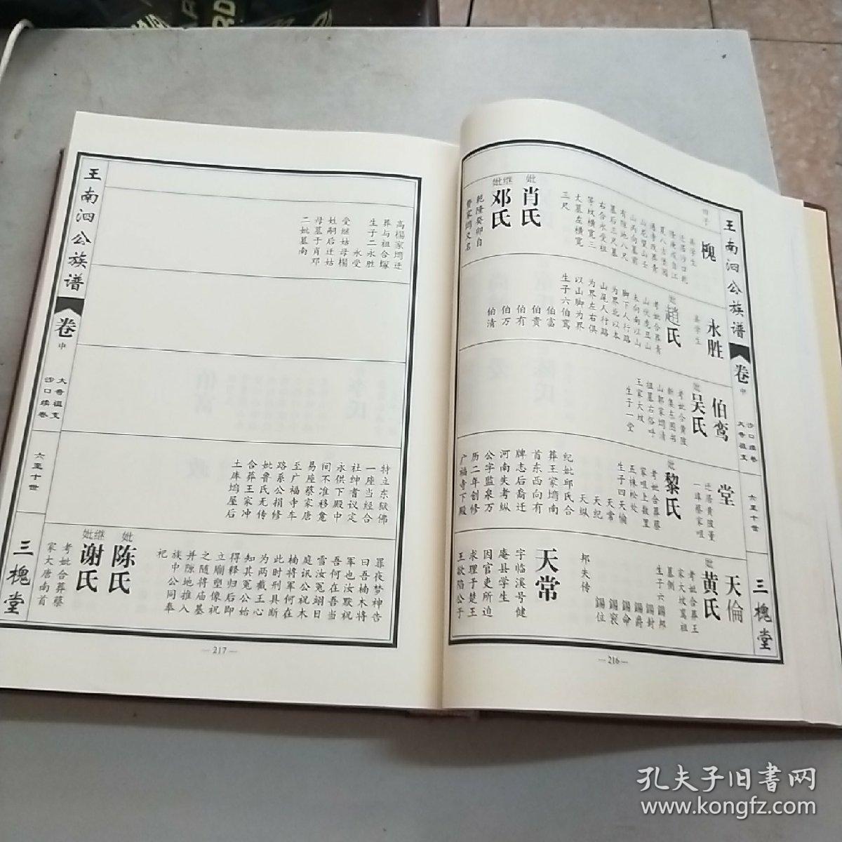 王氏族谱(王南泗公族谱卷)沙口续卷(大16开精装本)977