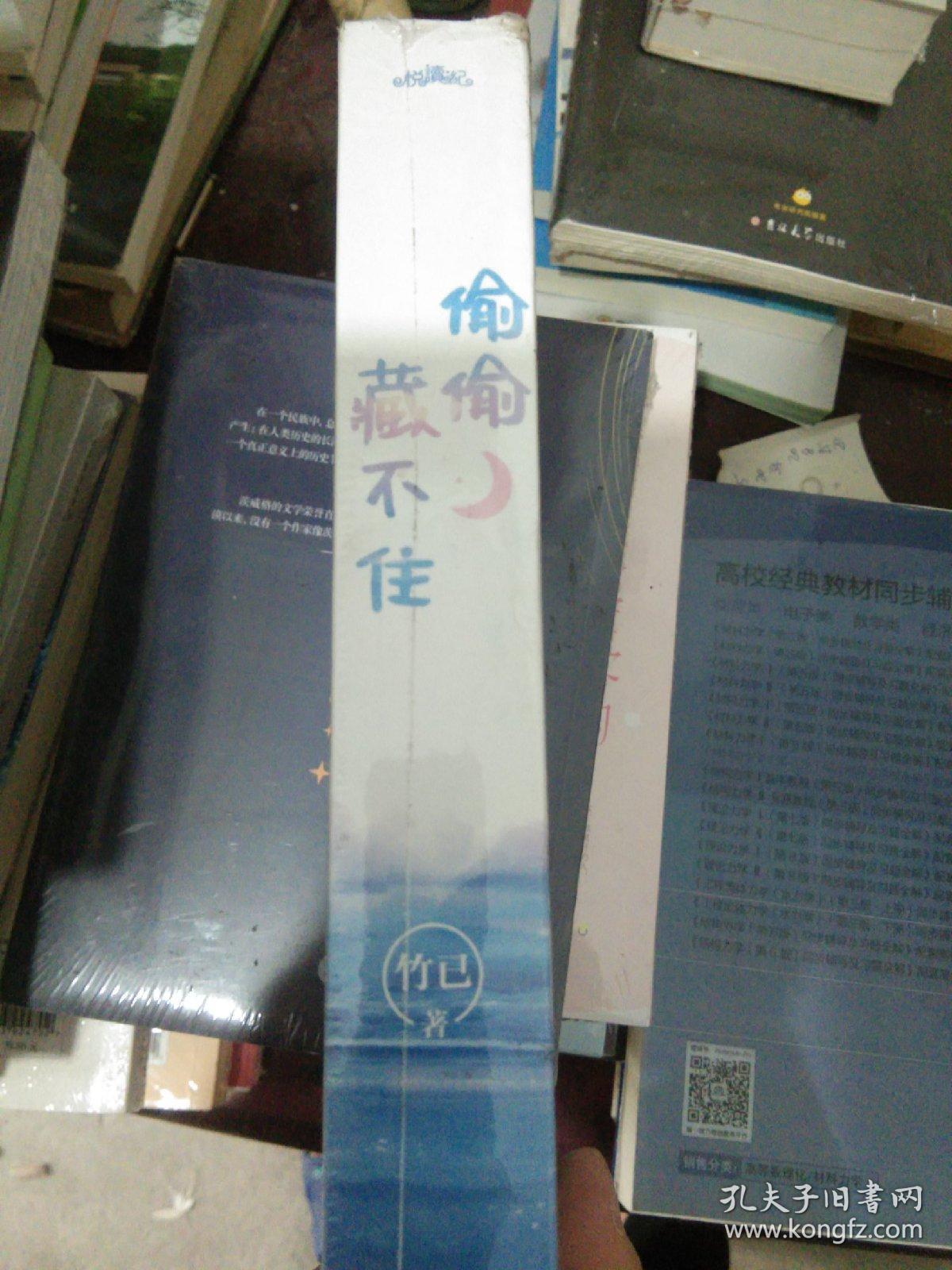 偷偷藏不住(全二册)竹已晋江金榜作品段嘉许vs桑稚