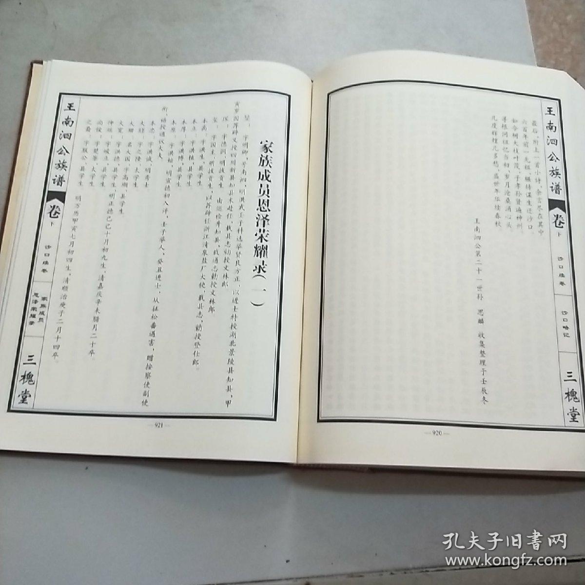 王氏族谱(王南泗公族谱卷)沙口续卷(大16开精装本)977