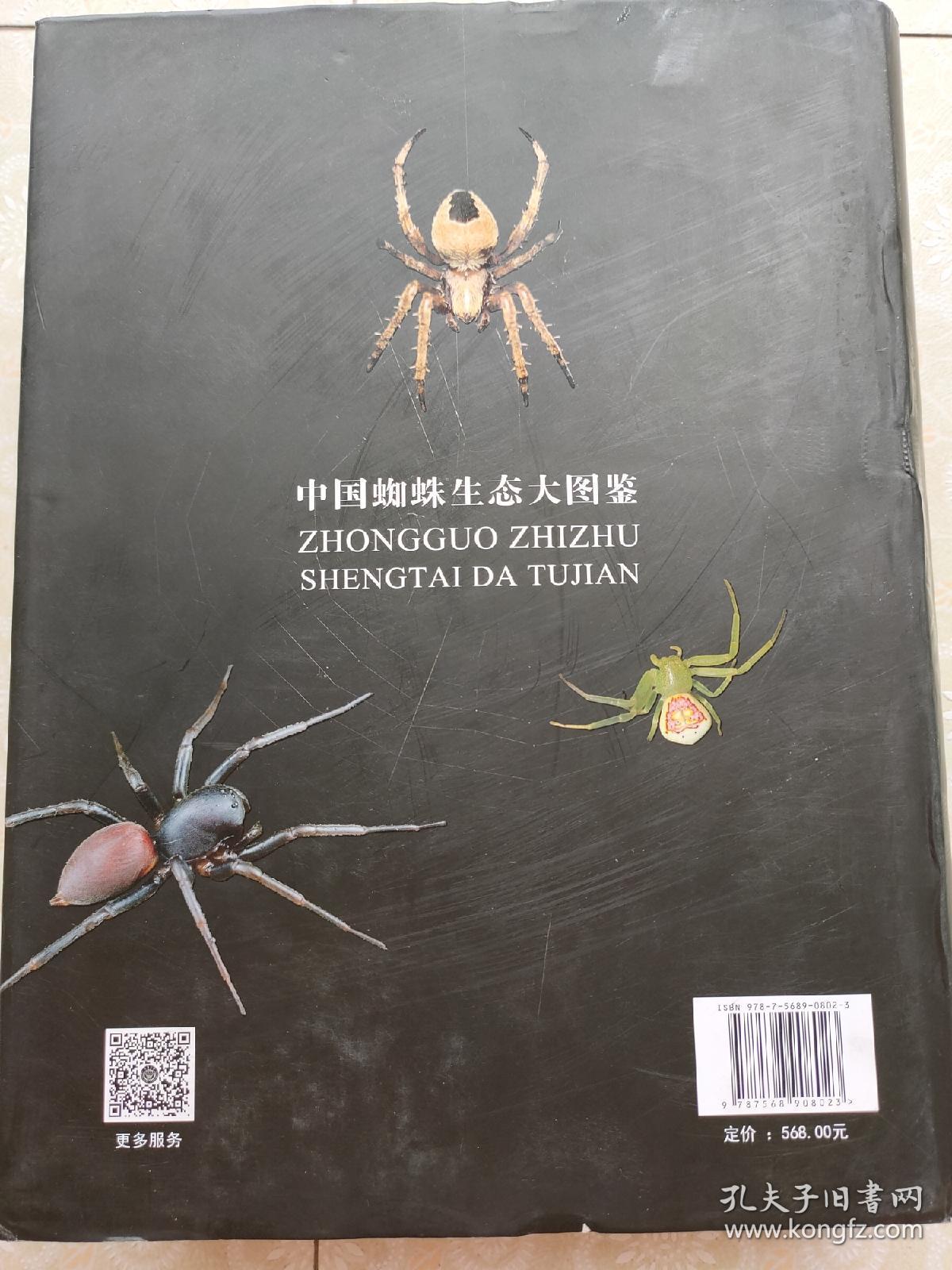 中国蜘蛛生态大图鉴