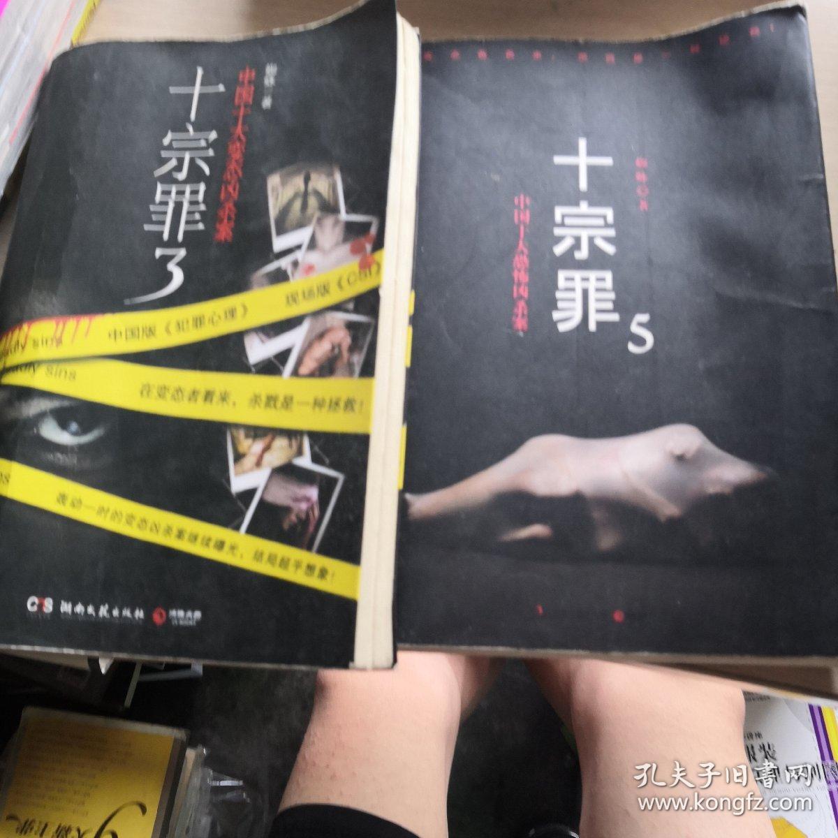十宗罪5:中国十大恐怖凶杀案