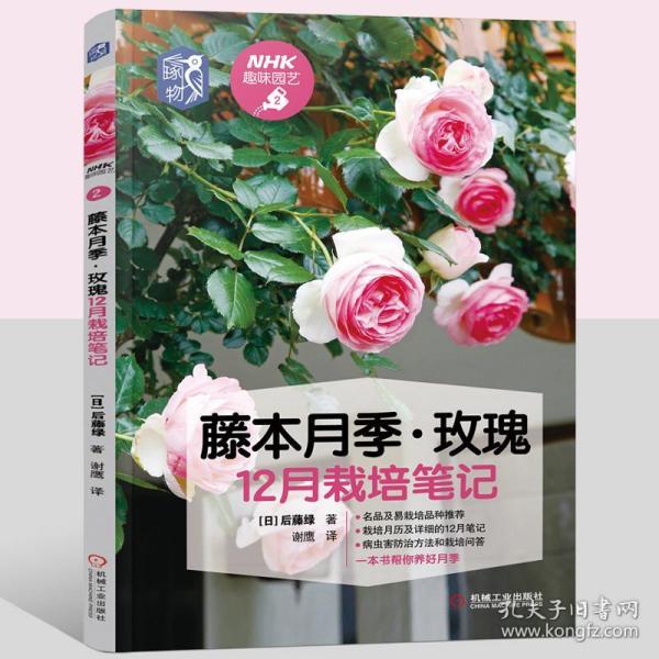 玫瑰繁殖技术,玫瑰繁殖技术视频