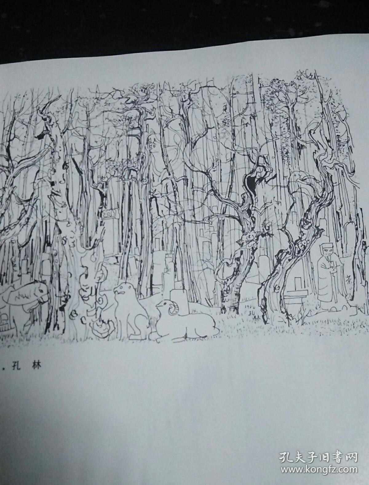 吴冠中素描选