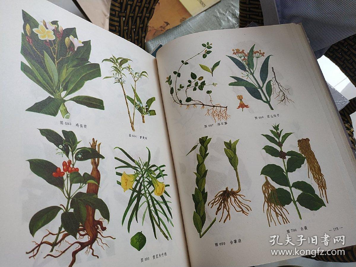 全国中草药汇编彩色图谱内页彩色插图一版一印精装