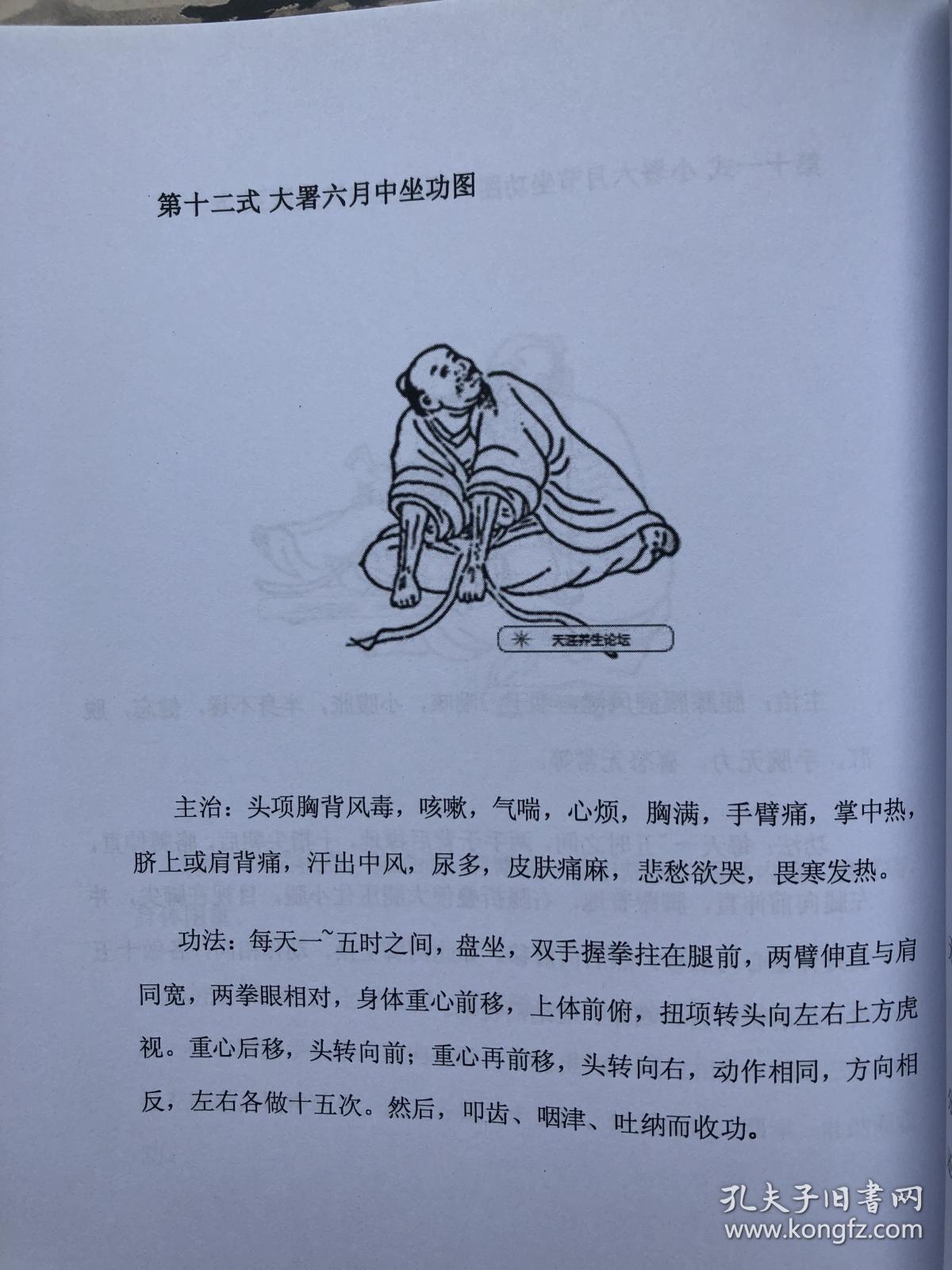 修真集成 筑基必看 练气八法 内丹功法十三步金丹