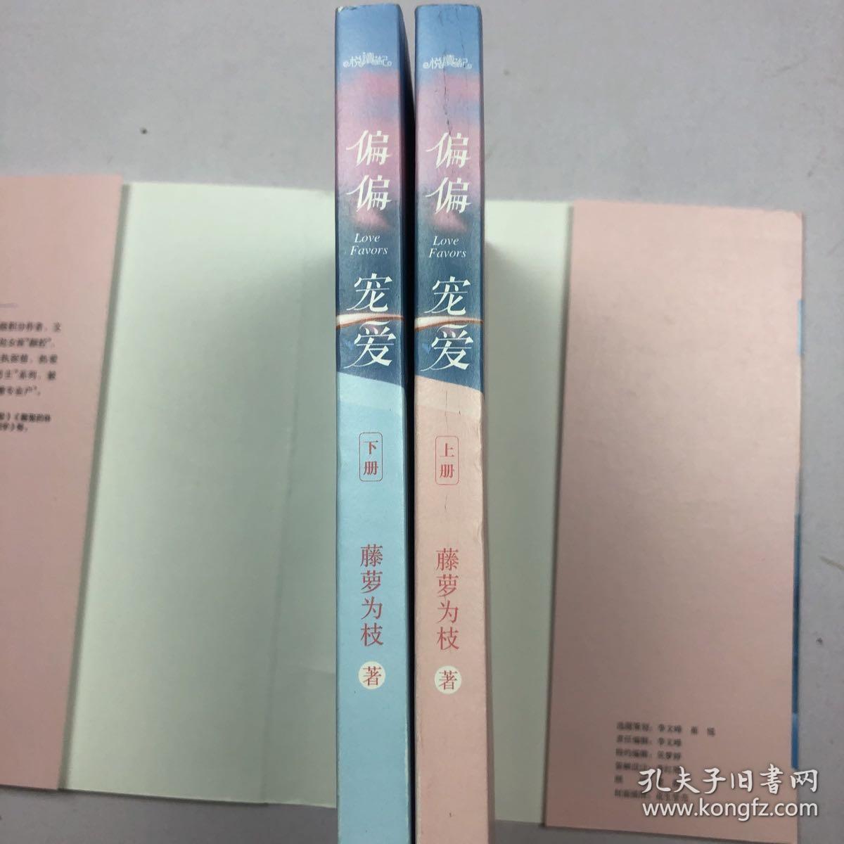 偏偏宠爱(上下)晋江文学城金榜作品