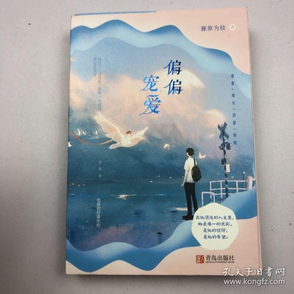 偏偏宠爱上下晋江文学城金榜作品