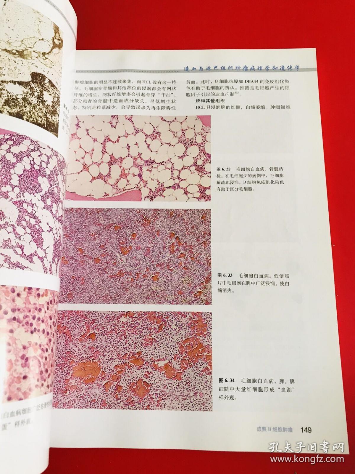 常规组织病理学弱监督无标注癌检测与基因型预
