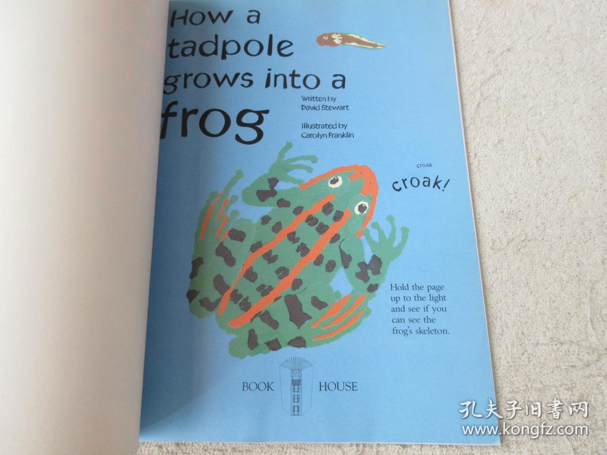 how a tadpole grows into a frog