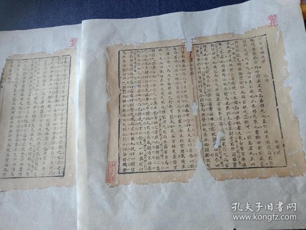文章姓人口_文章姚笛出轨照片图片