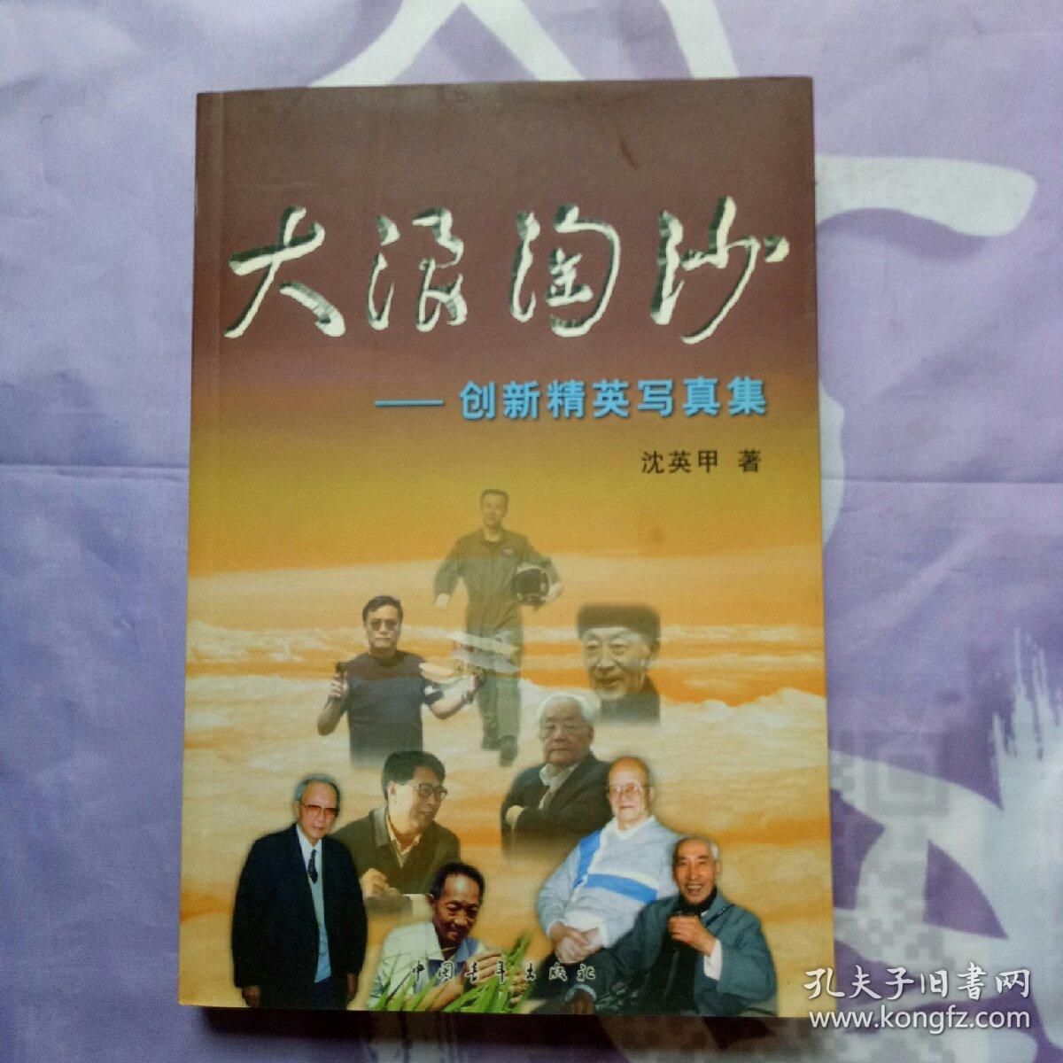 大浪淘沙:创新精英写真集