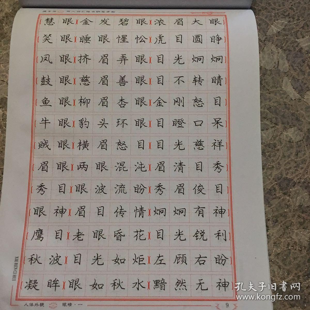庞中华钢笔字帖楷书写人词汇