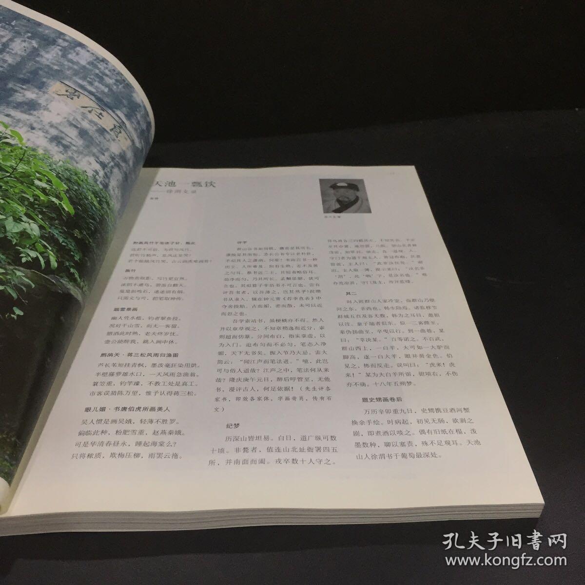水墨味(第21卷(2013)_项堃 编_孔夫子旧书网