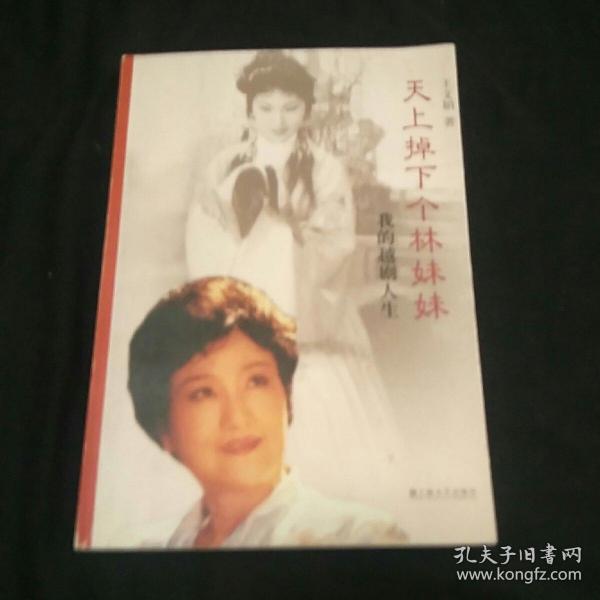 越剧天上掉下个林妹妹简谱_越剧 天上掉下个林妹妹(2)