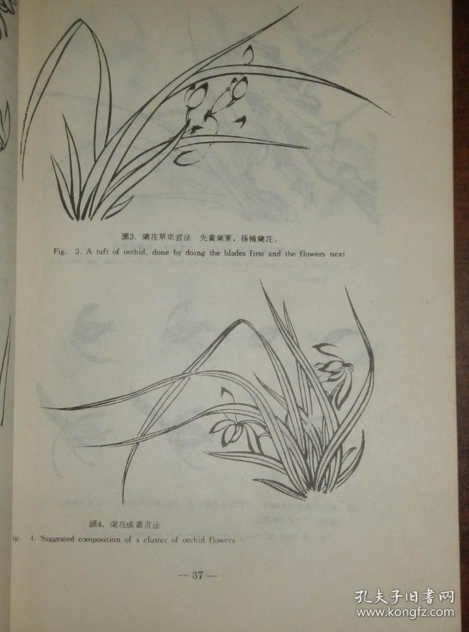 梅兰竹菊画法大全(1972年版)中英文对照