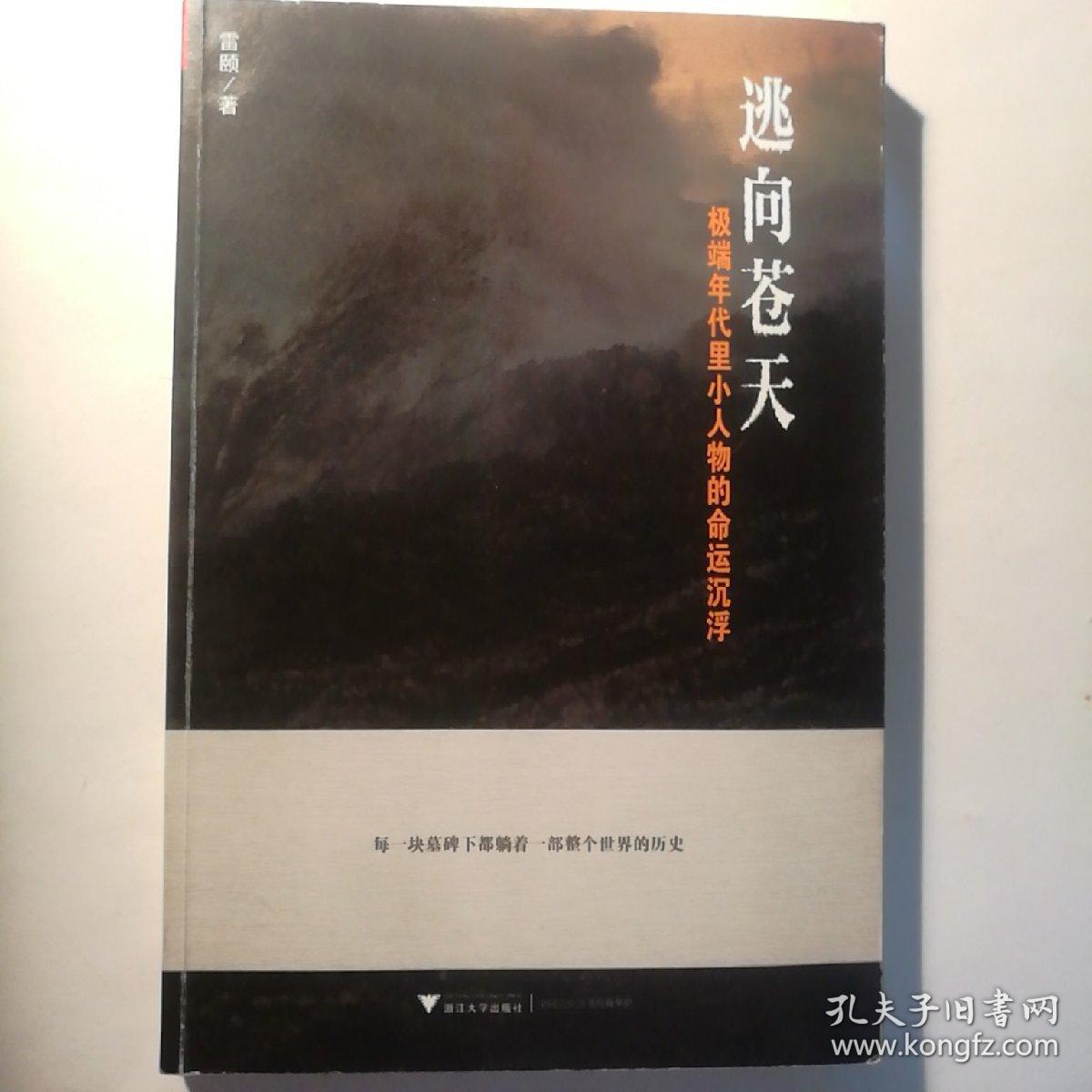 逃向苍天:极端年代里小人物的命运沉浮
