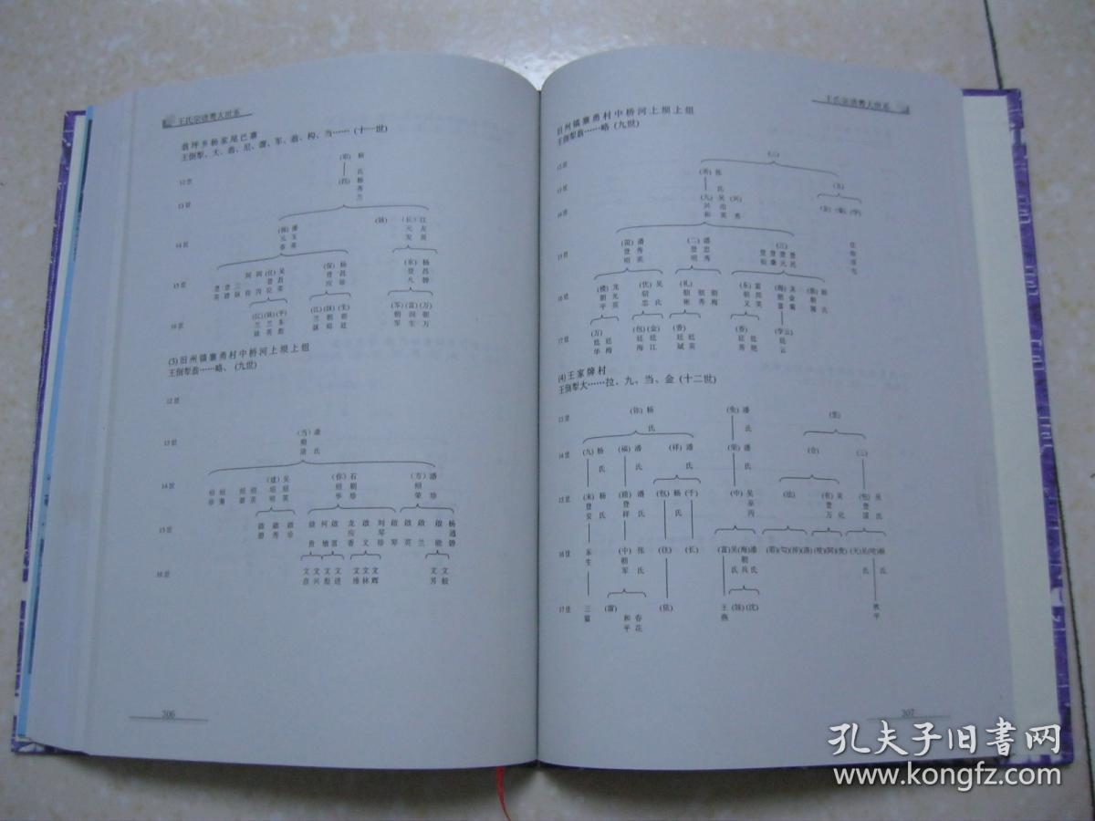 贵州黄平王家牌王氏宗谱(贵州省黔东南苗族侗族自治州黄平县翁坪乡王